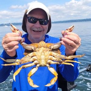 Meet your Posher, Posh